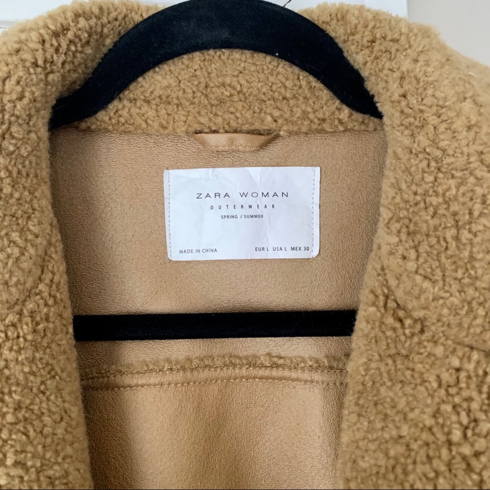 Teddy Moto Jacket - Picture 7 of 9